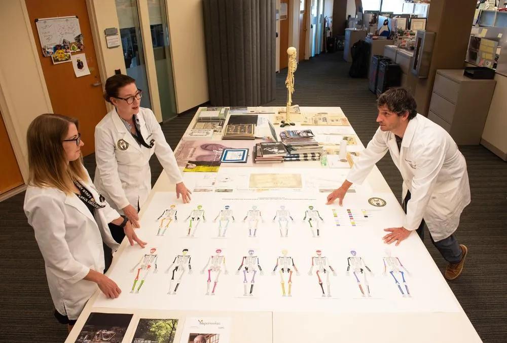 Orthopedic Trauma Courtroom Animator: How Medical Animation Strengthens Courtroom Evidence